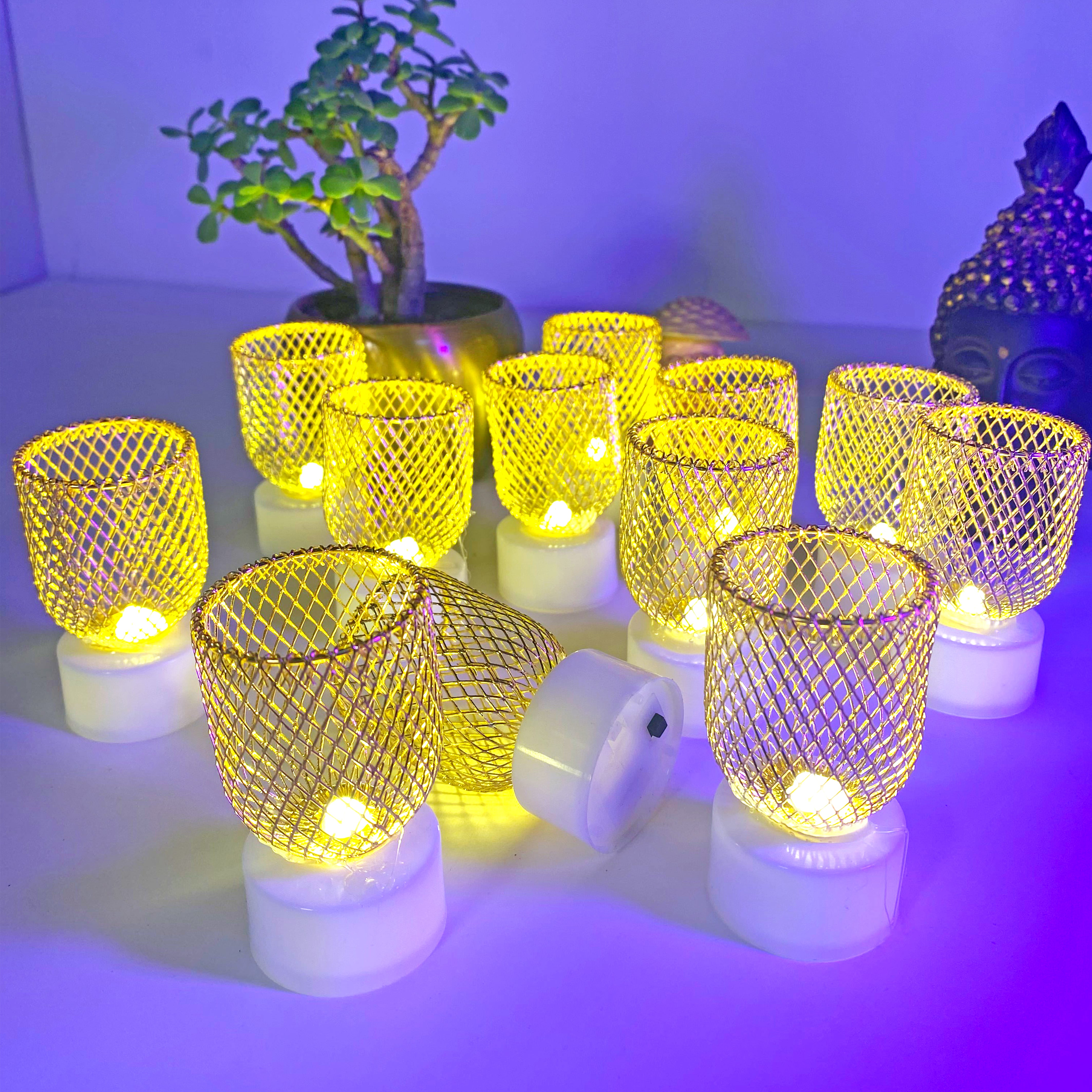 Golden Net LED Light (Set of 12 )