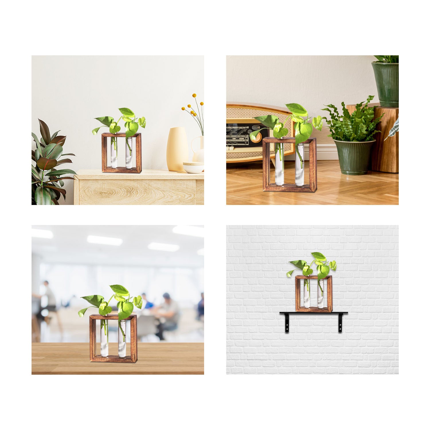 Modern Style Decorative Test Tube Planters with Wooden | Living Room / Office Decor