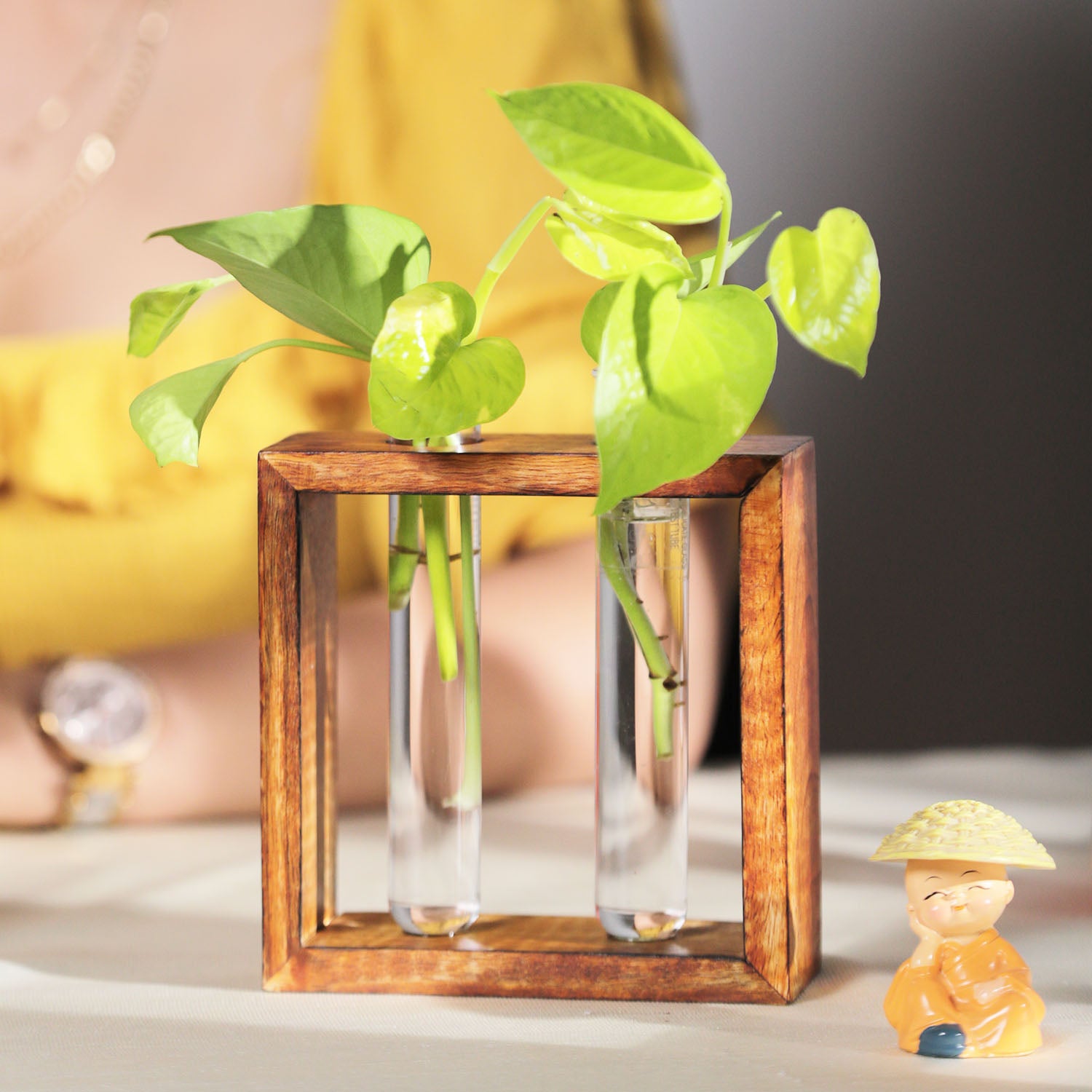 Modern Style Decorative Test Tube Planters with Wooden | Living Room / Office Decor