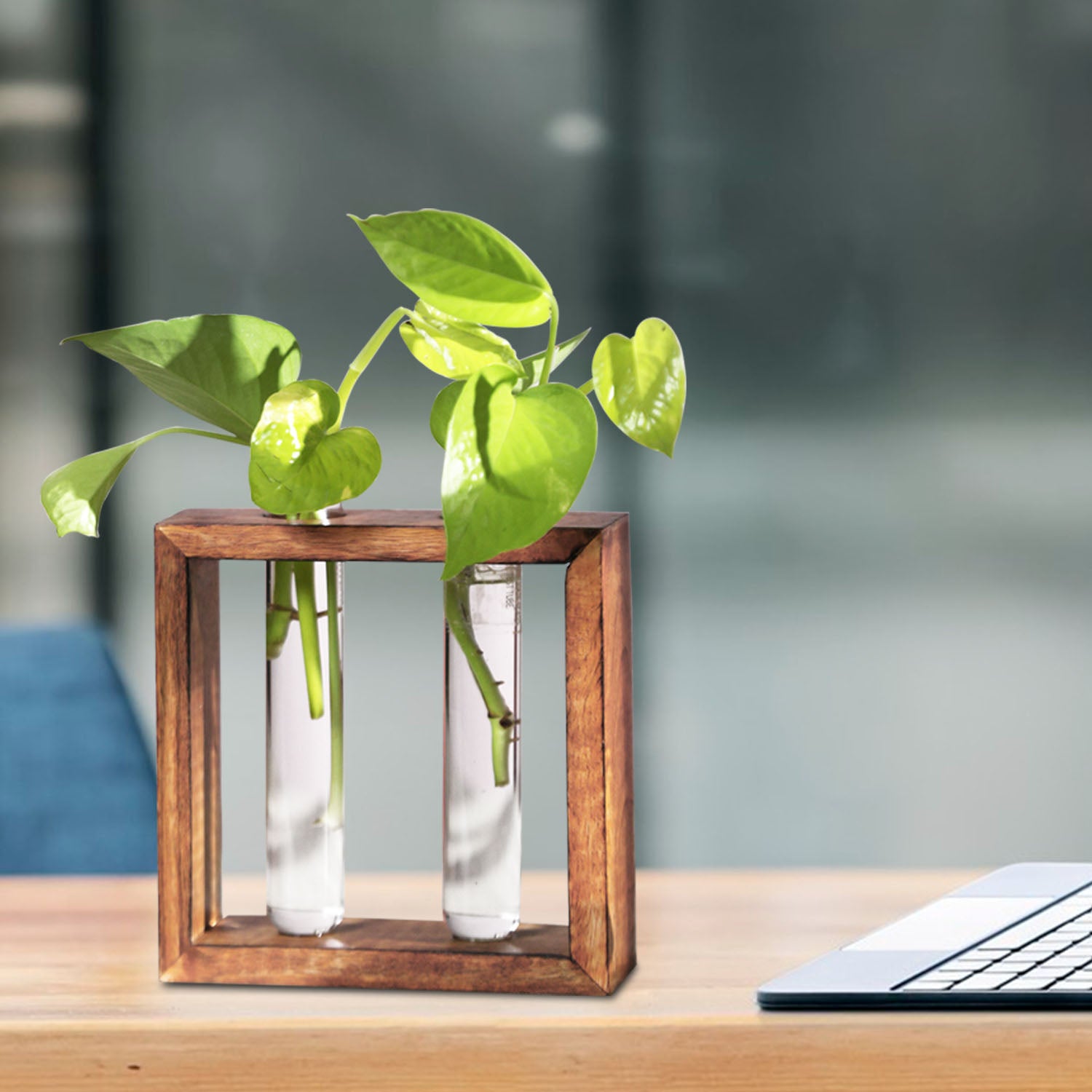 Modern Style Decorative Test Tube Planters with Wooden | Living Room / Office Decor