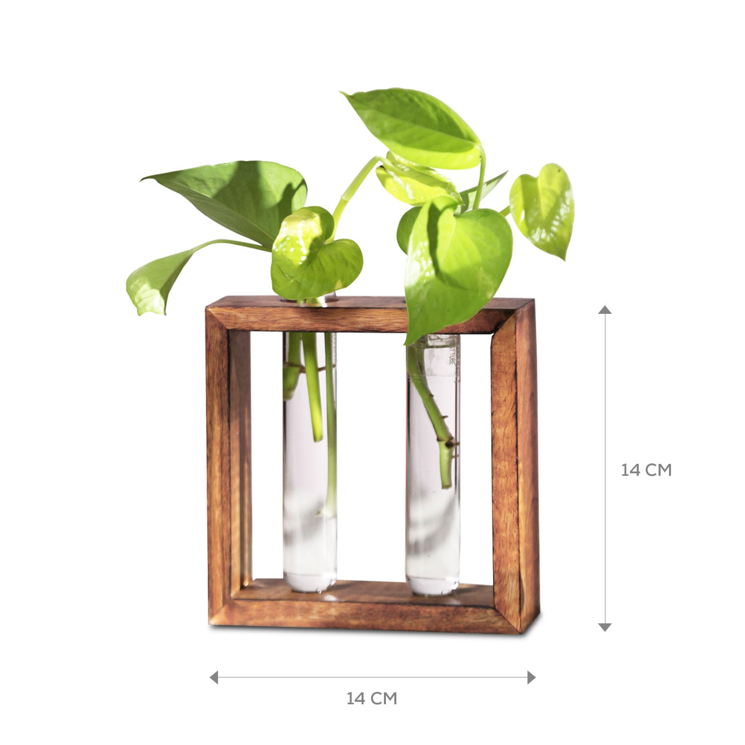 Modern Style Decorative Test Tube Planters with Wooden | Living Room / Office Decor